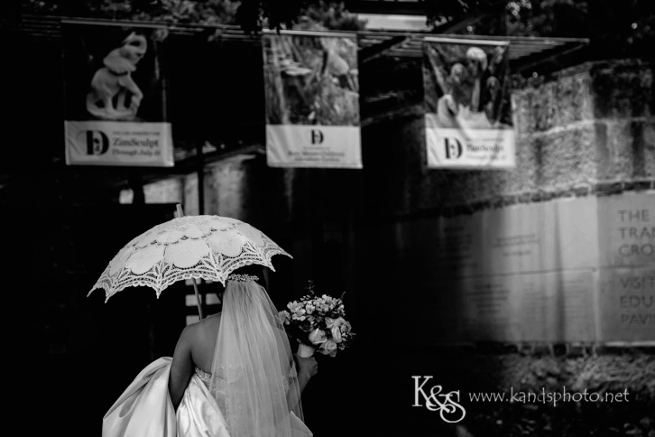 dallas chinese wedding photographer